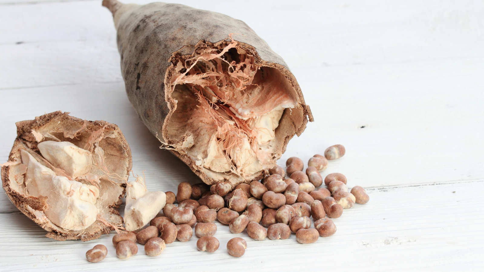 Baobab Fruit and Seeds